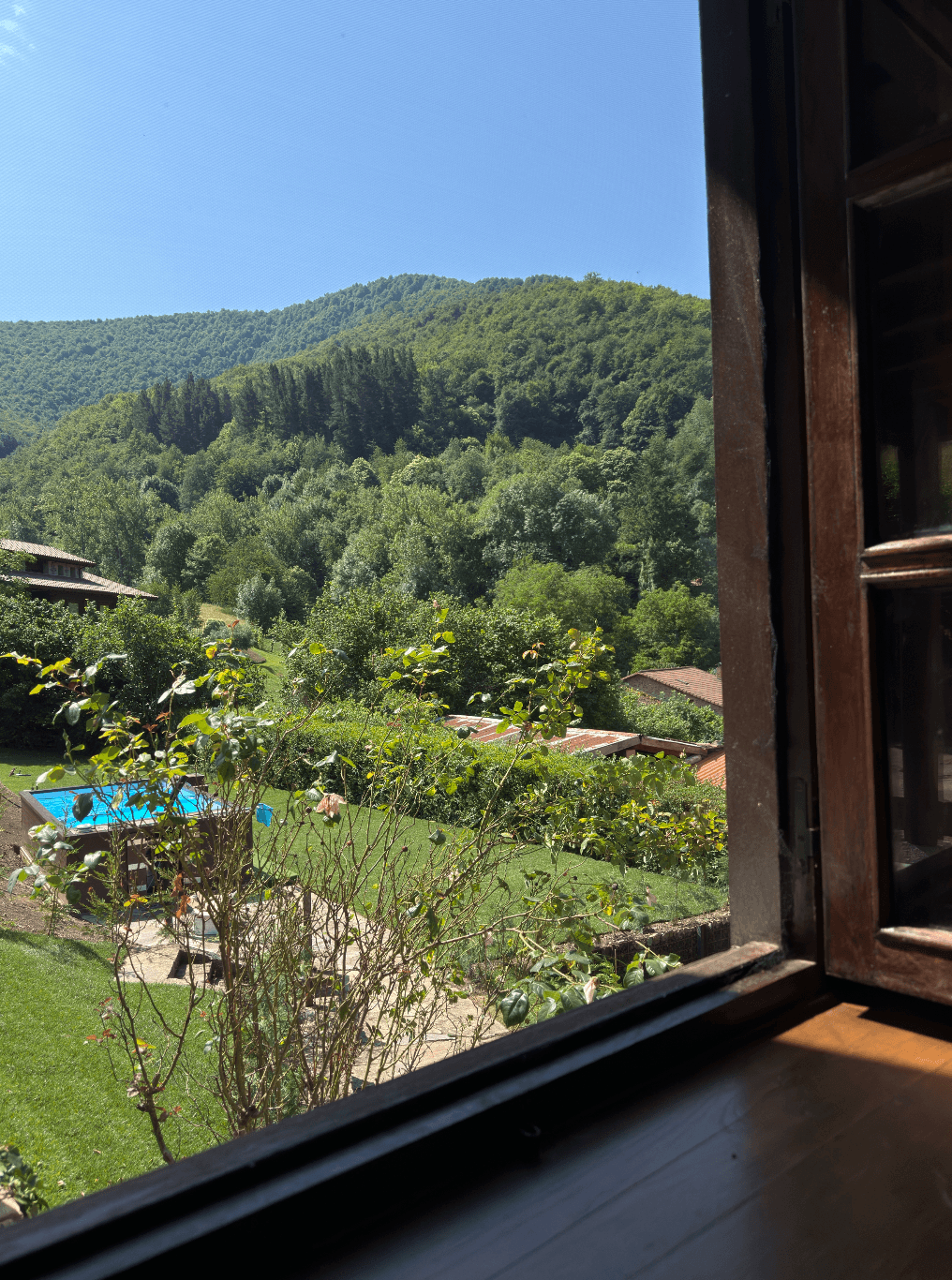 vistas ventana